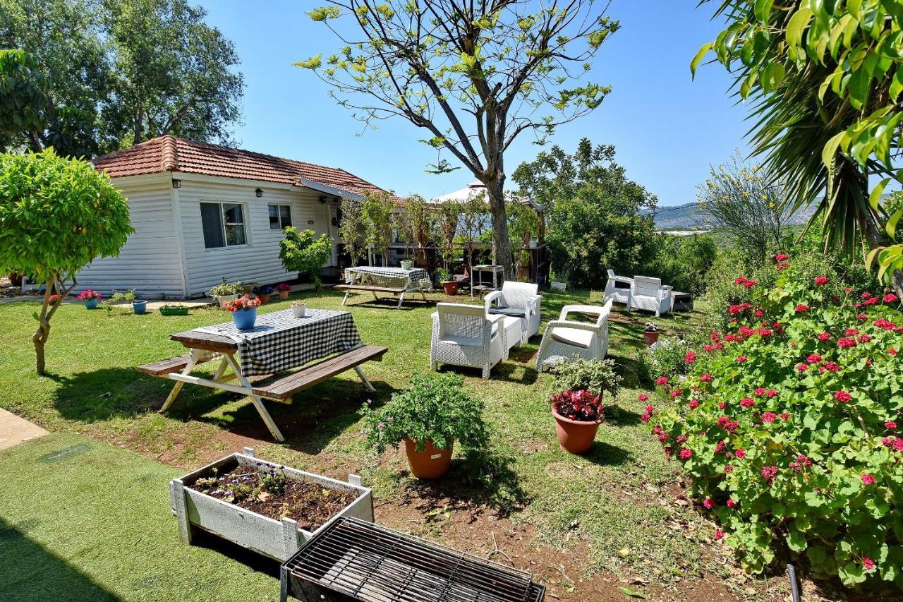 Biktot Nofim Villa Manot Екстериор снимка